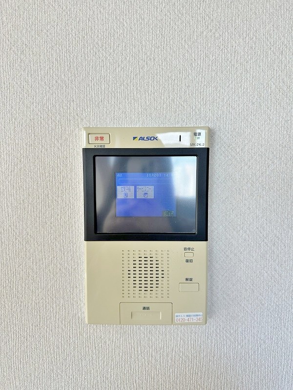 Ｆｅｌｔ１１１３（フェルト１１１３） その他3