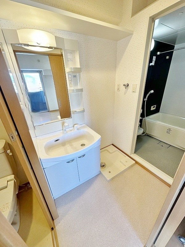 Ｆｅｌｔ１１１３（フェルト１１１３） その他12