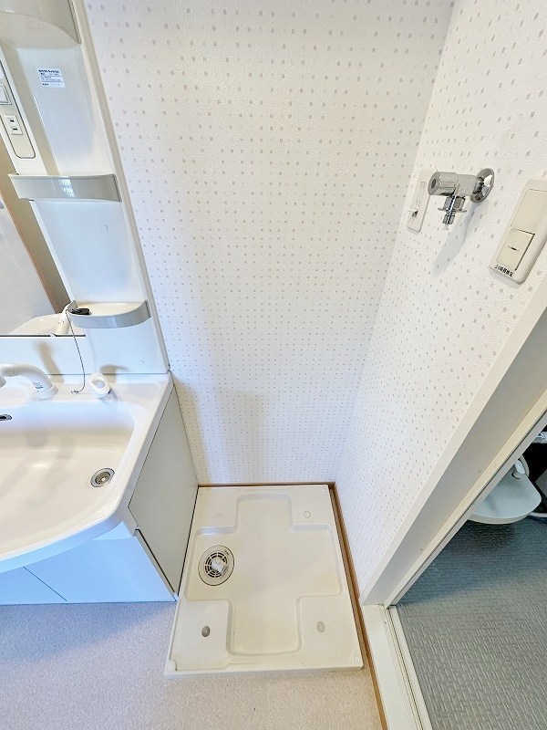 Ｆｅｌｔ１１１３（フェルト１１１３） その他13