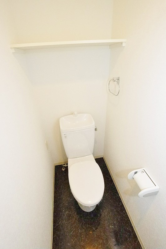 ＡＮＥＳＹＳ（アネシス） その他2