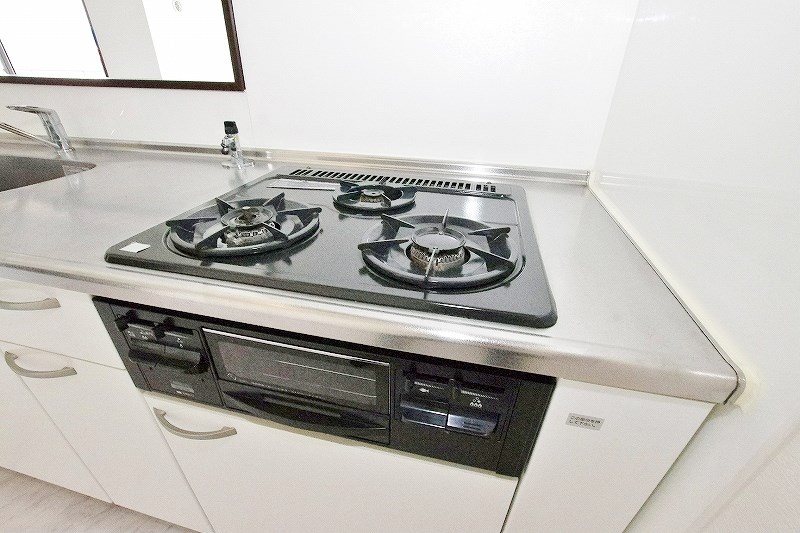 ＡＮＥＳＹＳ（アネシス） その他5