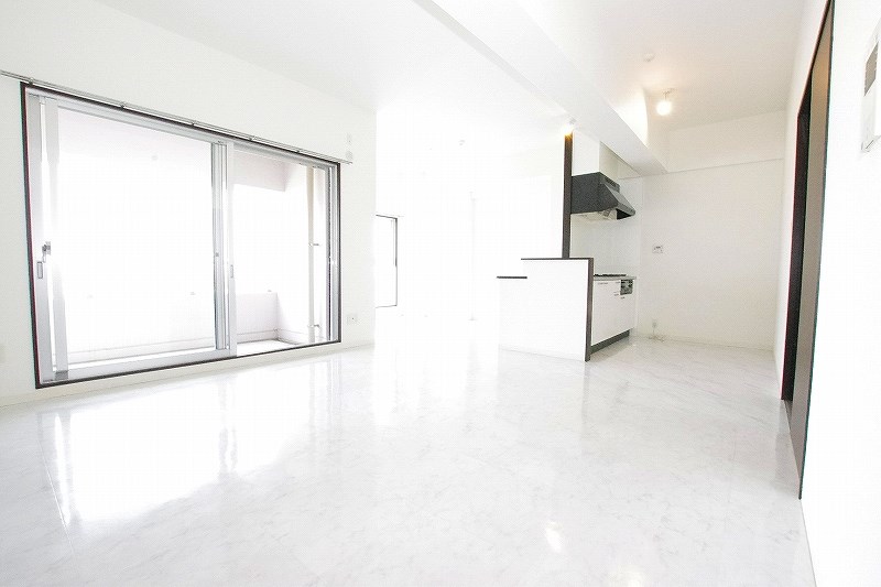 ＡＮＥＳＹＳ（アネシス） リビング