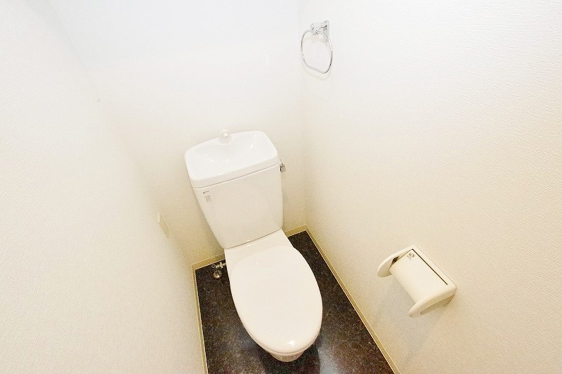 ＡＮＥＳＹＳ（アネシス） その他15