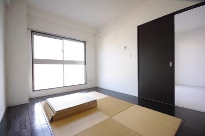 ＡＮＥＳＹＳ（アネシス） その他10