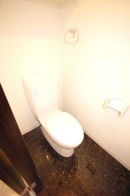 ＡＮＥＳＹＳ（アネシス） その他13