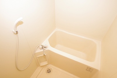 ロイヤルキャッスル 風呂画像