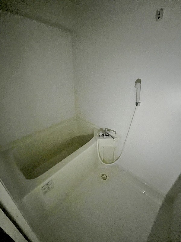 ロイヤルマジェスティ  その他18