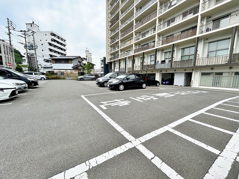 ルピナス守恒 その他外観3