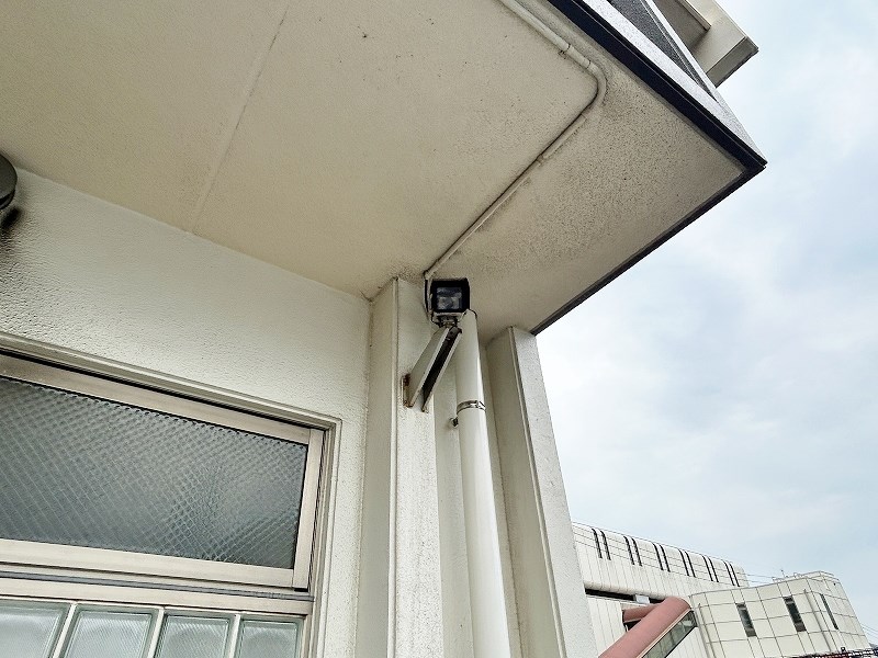 ルピナス守恒 その他外観6