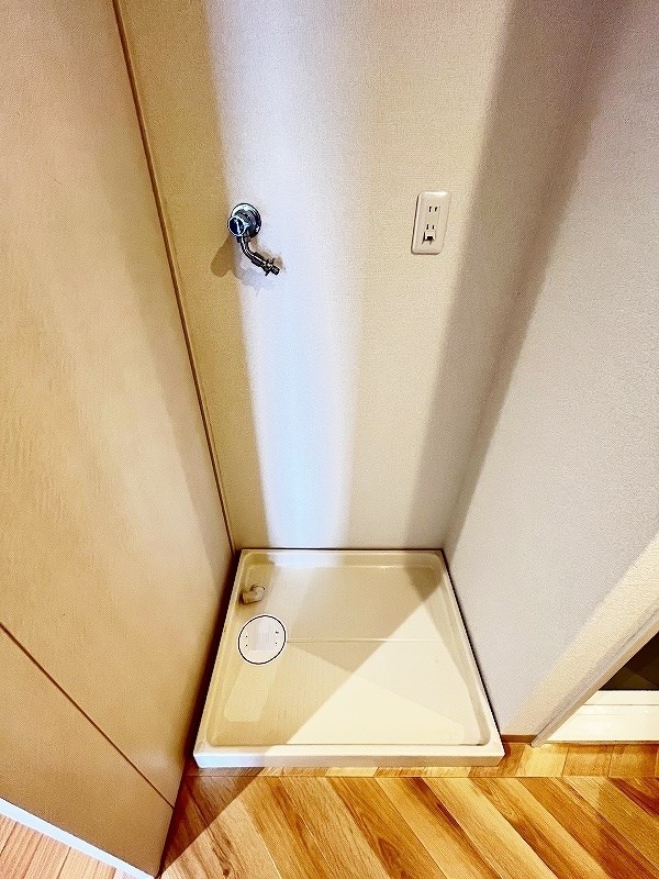 ルピナス守恒 その他19