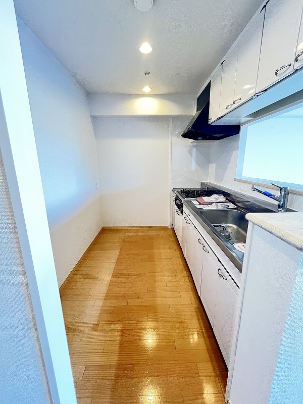 ルピナス守恒 その他26