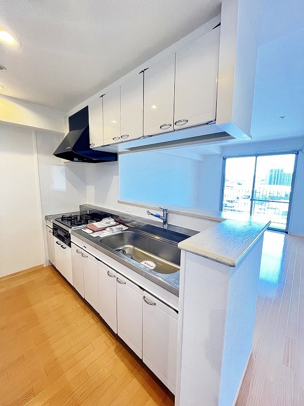 ルピナス守恒 その他27