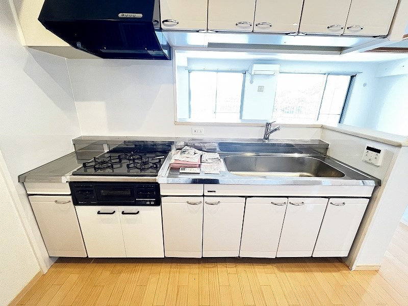 ルピナス守恒 その他29