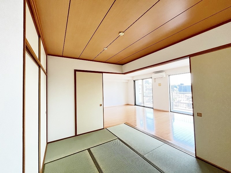 ルピナス守恒 その他41