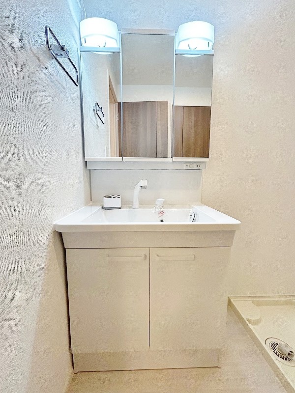 グランフェリシアⅣ その他1