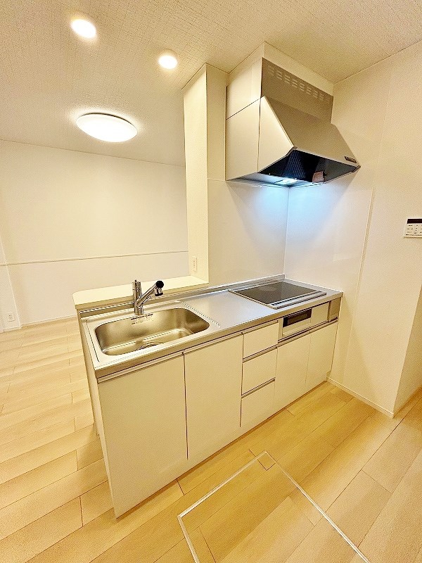 グランフェリシアⅣ その他31