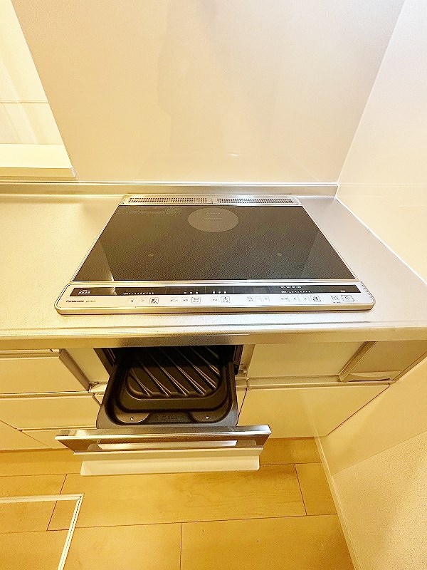 グランフェリシアⅣ その他35