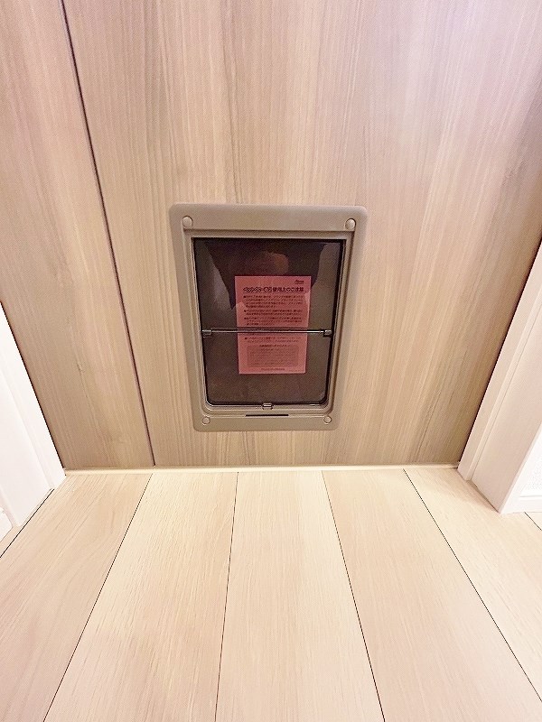 グランフェリシアⅣ その他36