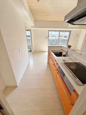 ニューガイアソラーレ下石田 その他17