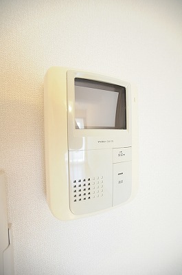 ｄａ　Ｖｉｎｃｉ　Ⅴ（ダヴィンチⅤ） その他3