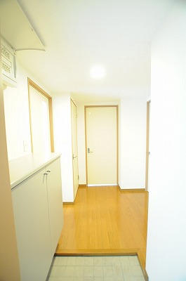 ｄａ　Ｖｉｎｃｉ　Ⅴ（ダヴィンチⅤ） 玄関