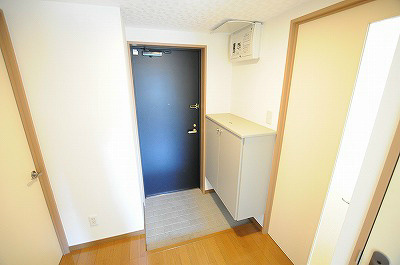 ｄａ　Ｖｉｎｃｉ　Ⅴ（ダヴィンチⅤ） その他14