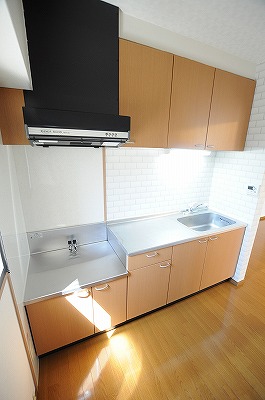 ｄａ　Ｖｉｎｃｉ　Ⅴ（ダヴィンチⅤ） キッチン