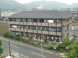 エクレール亀田Ｂ棟  303号室 外観