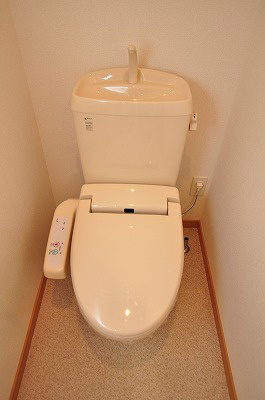 エヴァーグリーンＮ その他6