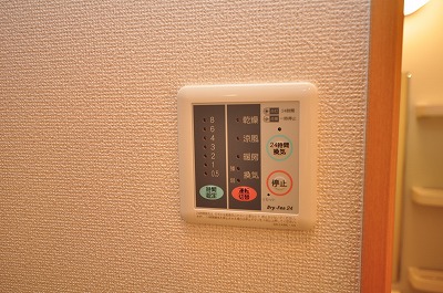 エヴァーグリーンＮ その他16