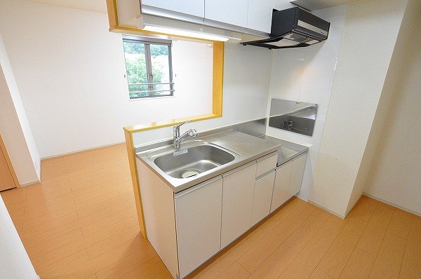 ラインハイム足立山Ｄ  その他13