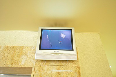 アーリントン その他14