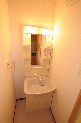 デザイナープリンセス７７ その他3