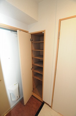 デザイナープリンセス７７ その他11