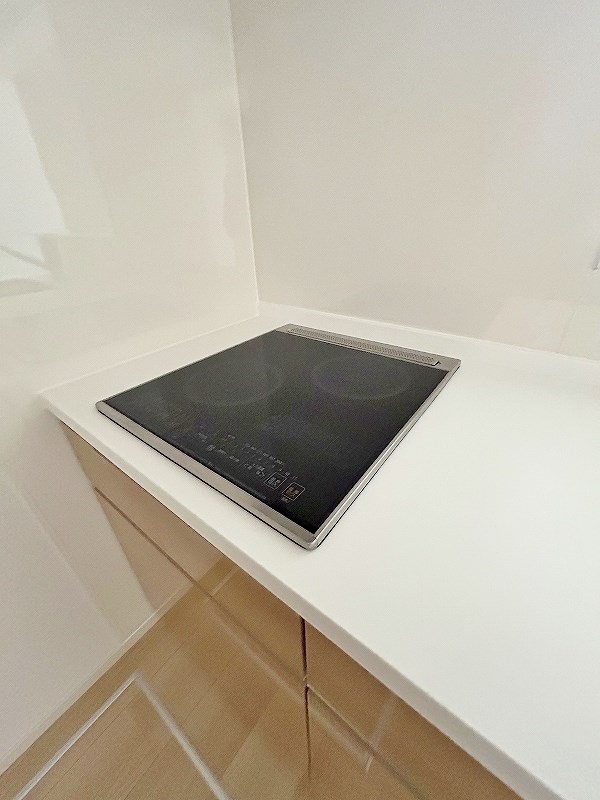 オルタンシア その他17