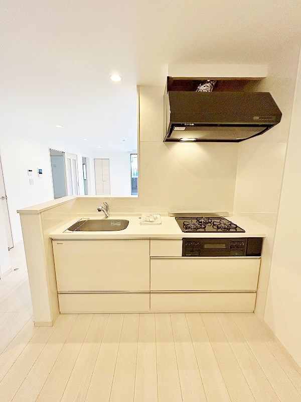 レーベンス清水 その他19