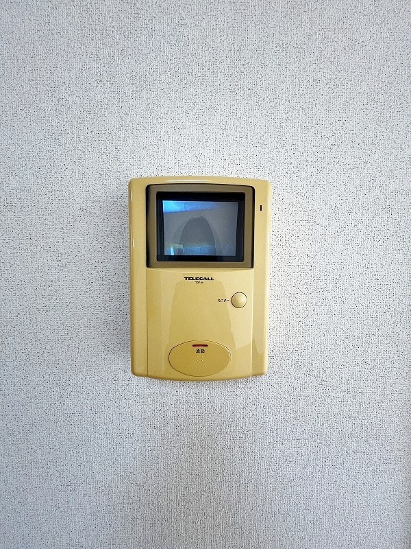 クリスマスローズⅢ その他3