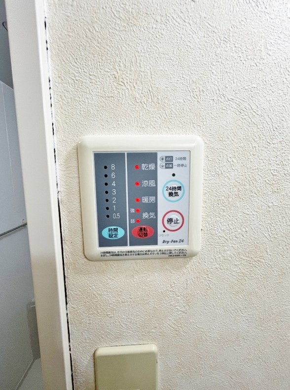 クリスマスローズⅢ その他5