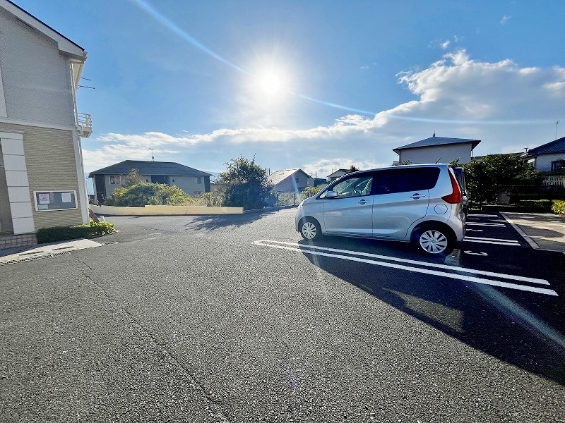 クリスマスローズⅢ その他外観1