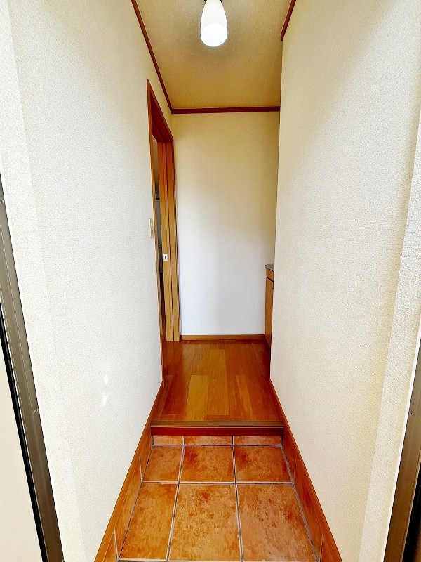 クリスマスローズⅢ その他10