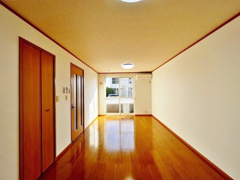 クリスマスローズⅢ その他19