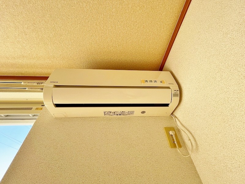 クリスマスローズⅢ その他20