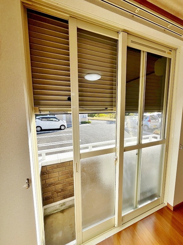 クリスマスローズⅢ その他21