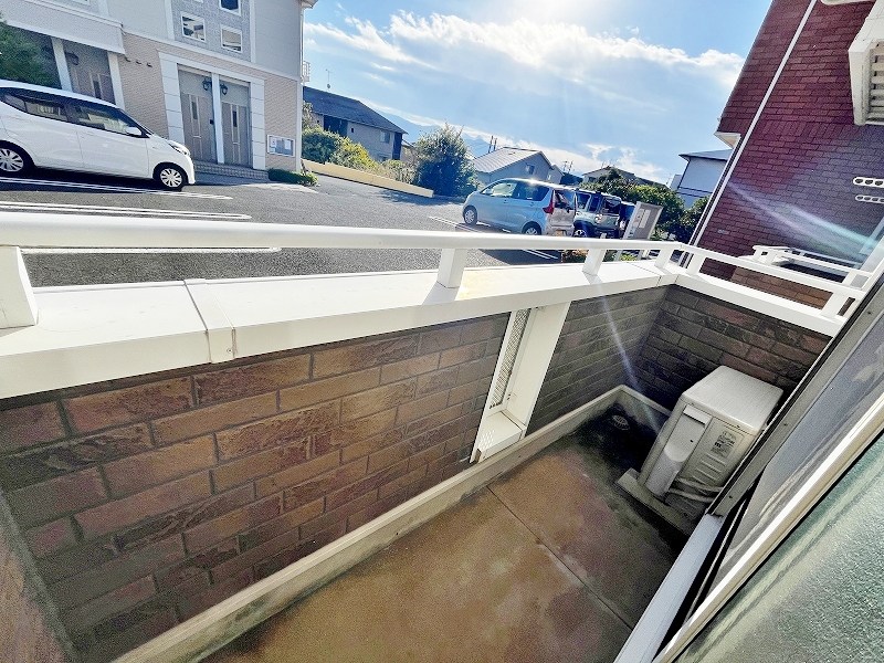 クリスマスローズⅢ その他22