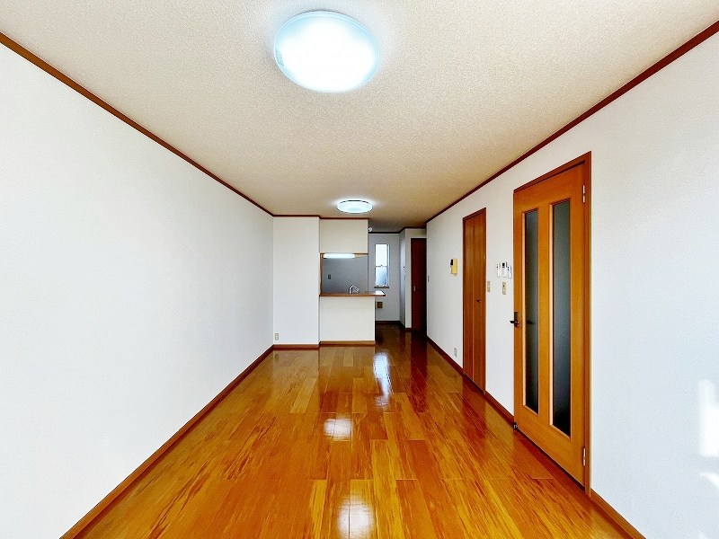 クリスマスローズⅢ その他24