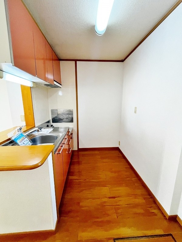 クリスマスローズⅢ その他26