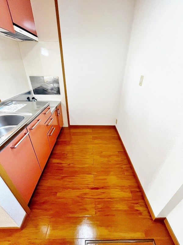 クリスマスローズⅢ その他27