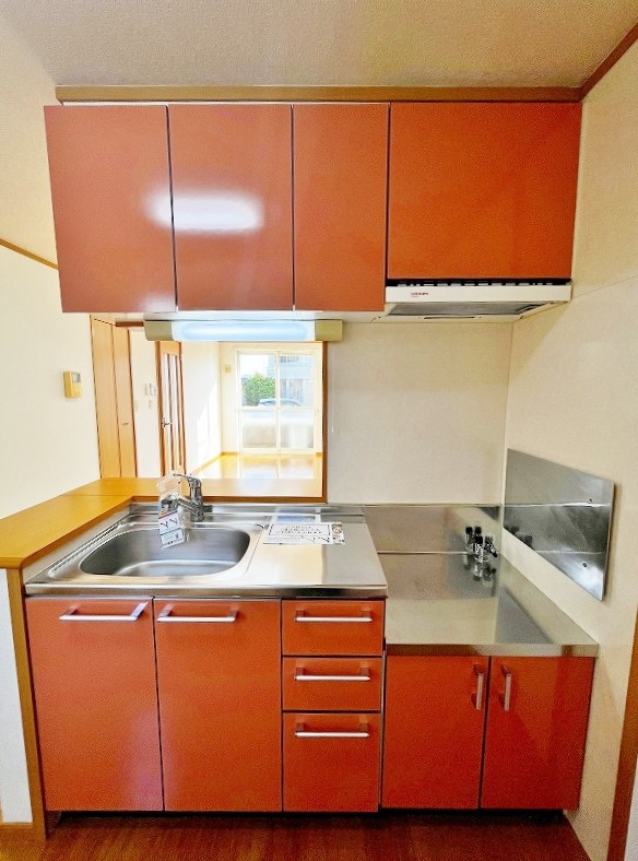 クリスマスローズⅢ その他29