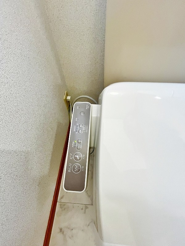 クリスマスローズⅢ その他33