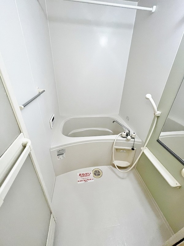 クリスマスローズⅢ その他36